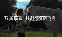 五省联动 共赴索菲亚指纹锁2020年度营销盛宴