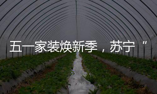 焕新智能锁品类迎来大爆发