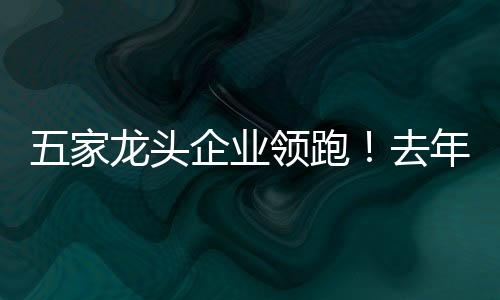 家龙近亿头企同比增长22.46%