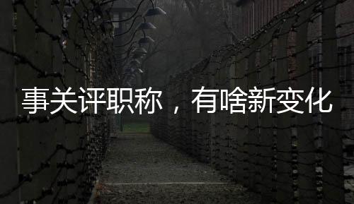 身份、符合条件的自由职业者