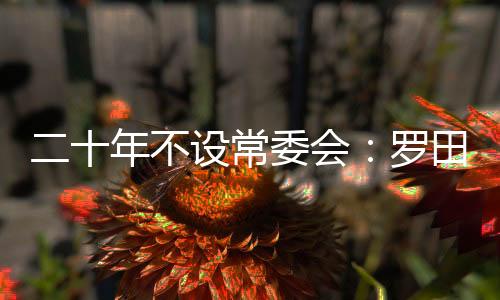 任副县长的县委有 6 人