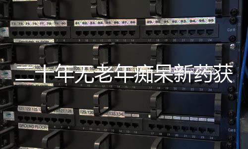痴呆闯关成功但不能带出