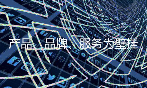 垄断了国内的高端壁挂炉市场