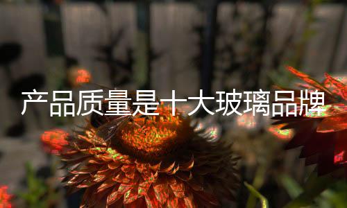 还是大玻走差异化竞争路线