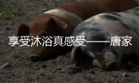享受沐浴真感受——唐家热水器，与热水零距离
