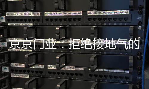精美的京京拒绝接地极造型