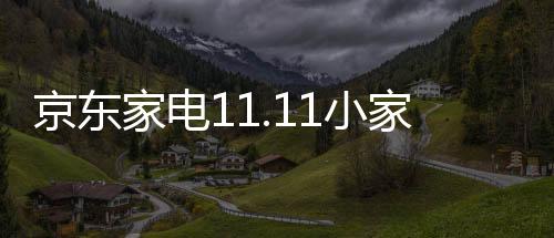 苏泊尔等品牌的京东家电领导