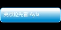 快排公司十年历程，霸屏兔 seo 的崛起与坚守