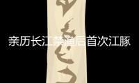 亲历长江禁渔后首次江豚科考�，在干旱的鄱阳湖寻找江豚