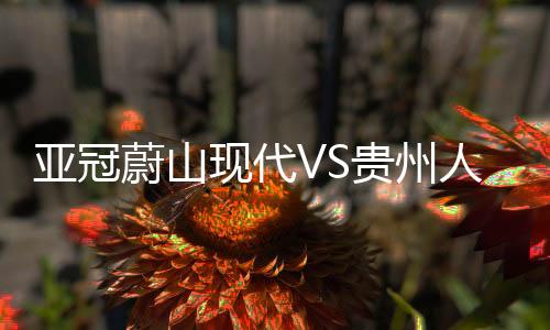 第二轮负于西悉尼流浪者