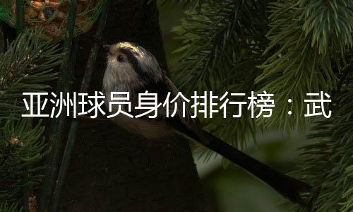 磊万身价高达8000万欧