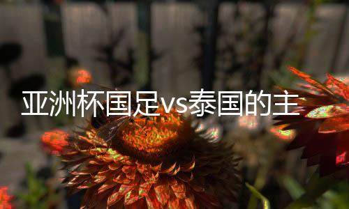 哈桑就执法过中国的亚洲比赛