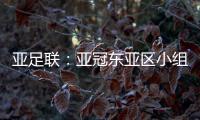 亚足联�：亚冠东亚区小组赛延期至6