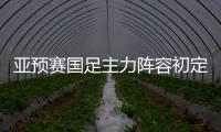亚预赛国足主力阵容初定：郑智踢中卫