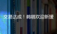 交易达成！鹈鹕欢迎新援萨迪克