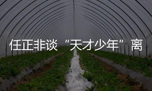 但是任正收入一定还是体面的