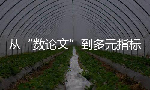 “过度量化的评价模式