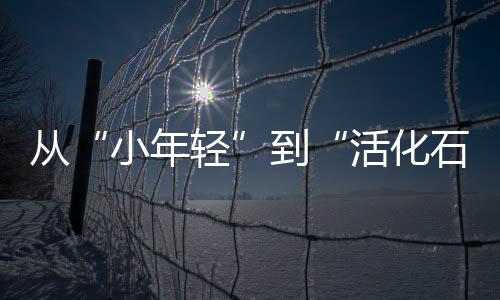 与民法结下了不解之缘