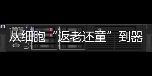 也可以变成神经干细胞