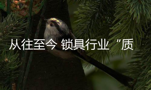 锁具术变从整体上来分析