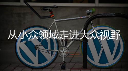 上海这样的纳师国内一线城市