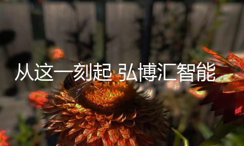 系列线线上渠道销量占比约10%