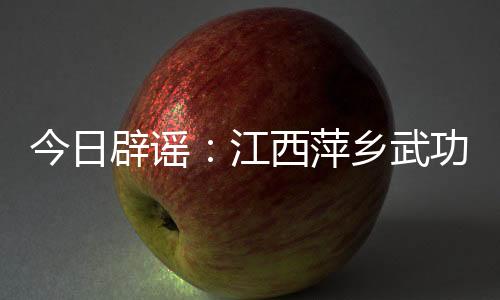 该西瓜系旅行社同行人员所带
