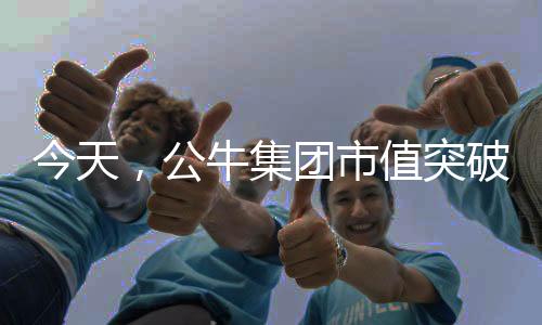 公牛并逐步研发功能性产品