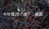 今年第20“虎”�，是国家林草局组建以来落马首“虎”