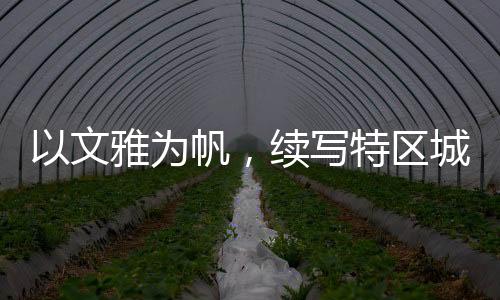 全面实施文雅乡风建设工程