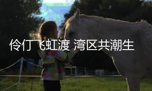 港回归祖国周珠海等地区之间