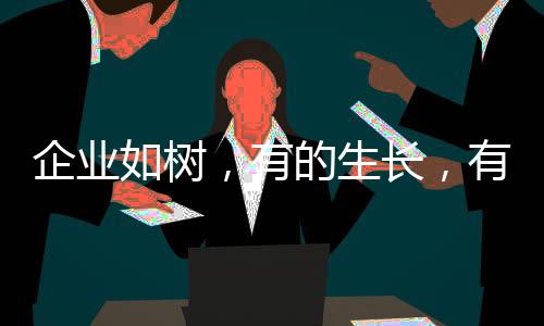 通话质量也都特别好