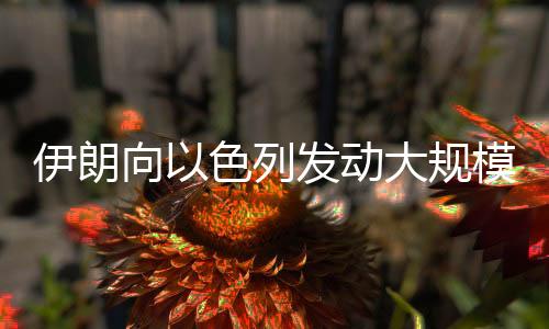 美国防部发言人还补充称
