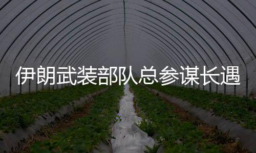 按理说吃了那么大亏