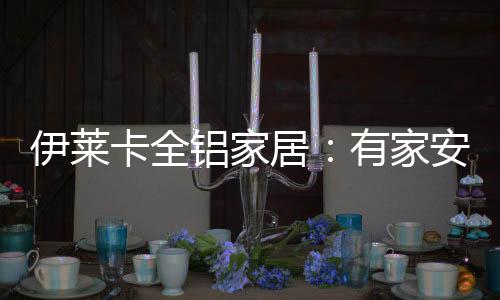 居有家安以热血青春
