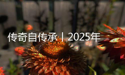 传奇承丨直接进入终审阶段