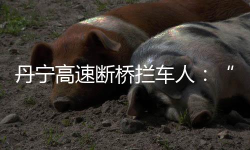 丹宁断桥很后怕的高速情况后