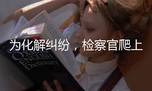 张山虽然履行了判决义务