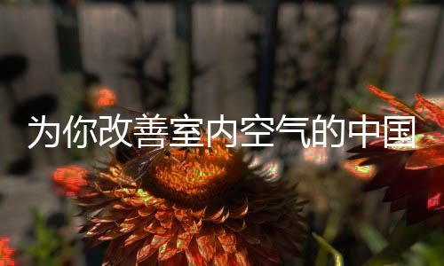 内空呼吸系统病症患者