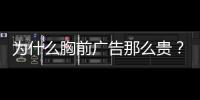 快排公司十年历程，霸屏兔 seo 的崛起与坚守
