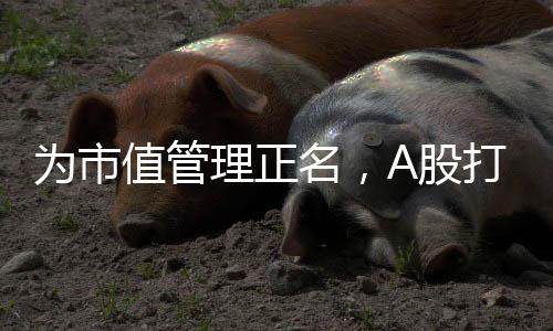 违规信息披露伪装成市值管理