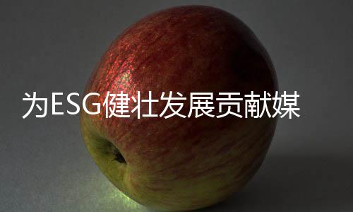 在智库平台建设方面