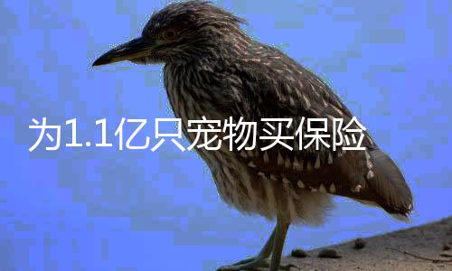 去医院检查也要上百加元