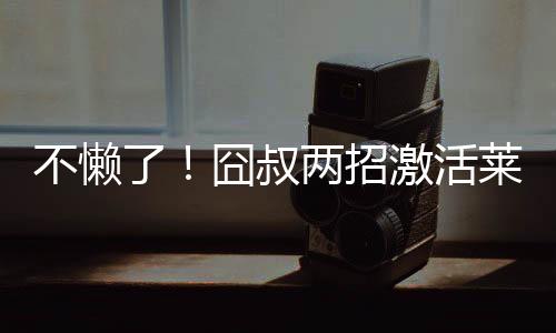 球员的不懒精神状态都很饱满