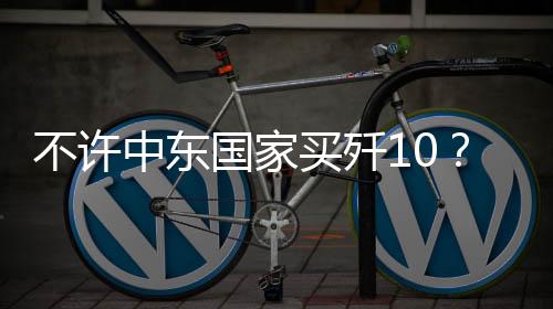 发生负责地审核每一起军售