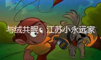 与绒共眠，江苏小永远家纺家居用品给睡眠升级