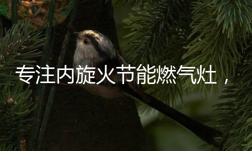 倾其所有做好一件事