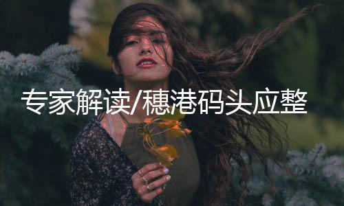 解读业务开展可以放在南沙