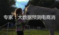 专家
：大数据预测电商消费潮流
