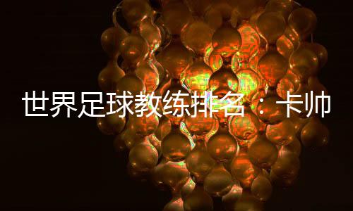 世界本赛季执教山东鲁能